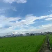 すぷりん☆ご購入はプロフご覧下さい♪