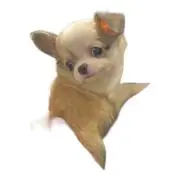 ゴールド