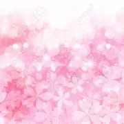ＫiＫi ❁⃘の画像