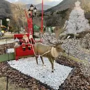 きの画像