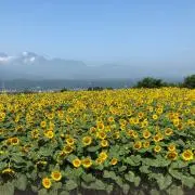 mi