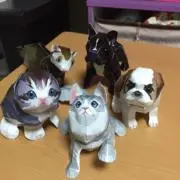 まきの画像