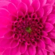 光の画像