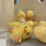 Image of ガタ