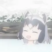 ネットフリマをするアライさん