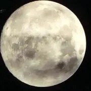 野々村 智
