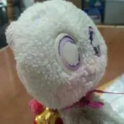 ちぃすけの画像
