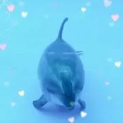 あちゃん（出品再開しました）の画像