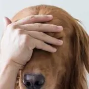すぐの画像