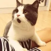 jam