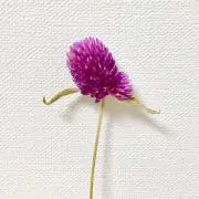 カフェモカの画像