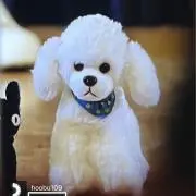 okoの画像