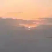 らんらんの画像