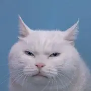 ゆにの画像