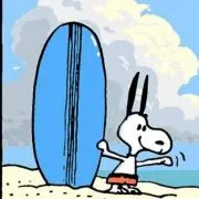 noopyの画像