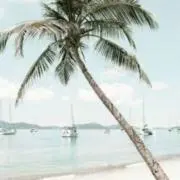 Geneliyの画像