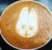 りんごNZの画像