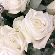 tk