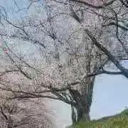 youの画像