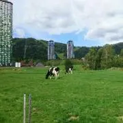 ちい