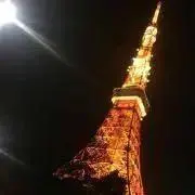 ぴくみん︎︎︎︎︎☺︎の画像