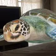 hammerの画像
