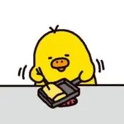 ピコの画像