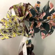 もも☆の画像