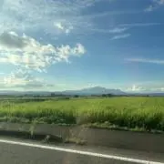 低血圧の画像