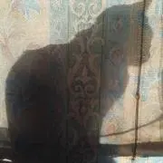 マートの画像