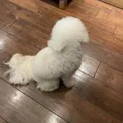みの画像