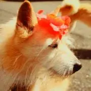 mimö ** 断捨離中