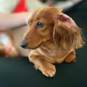 たくぼん