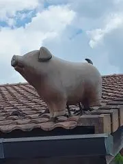 ちまの画像