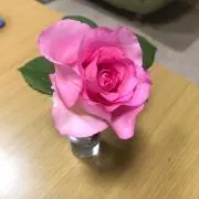 さとみょん