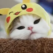 ダキ