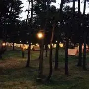 ☺︎の画像