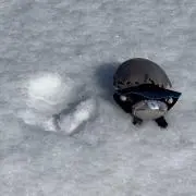 kiの画像