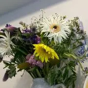 めめの画像