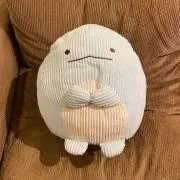 すみっこたろうの画像