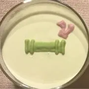 みももざの画像