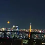 シロの画像