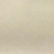 DN