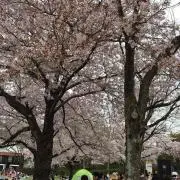 ナオナオ