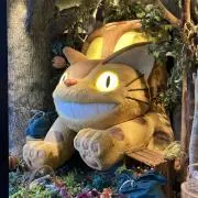 ゆんの画像