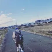 トミーの画像