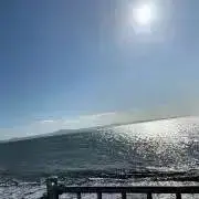 ひなたの画像
