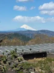 ま なの画像