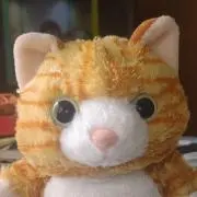 けいちゃん(^o^)/の画像