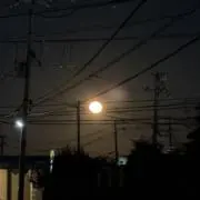 batabataの画像